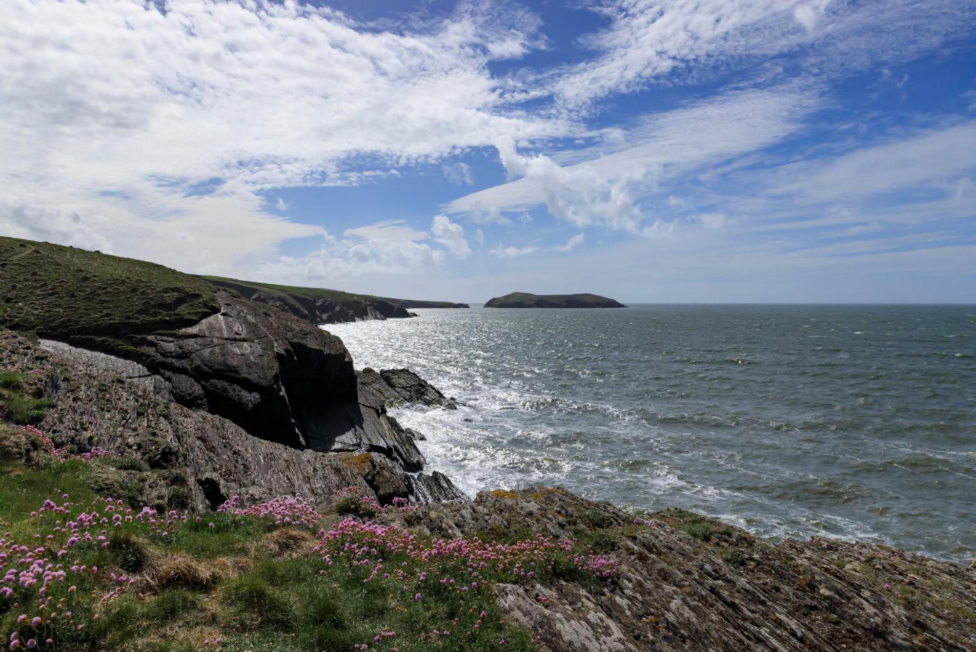 Shepherds Rest Llangrannog Экстерьер фото